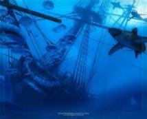 Image d'illustration