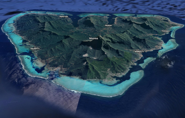 ​Accident mortel pendant un tronçonnage de cocotier à Moorea