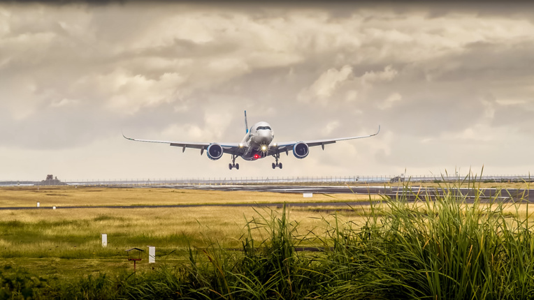 French bee prend la tête à “qui vole le plus loin” French bee prend la tête à “qui vole le plus loin”