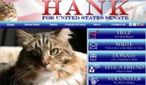 Hank, chat candidat au Sénat américain en 2012