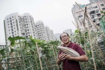 A Hong Kong, concombres et carottes cultivés entre ciel et terre