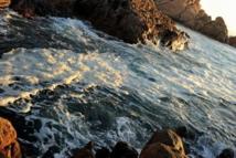 Les milieux marins d'Australie sévèrement dégradés par le réchauffement