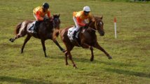Dimanche, reprise du pari mutuel à l'hippodrome