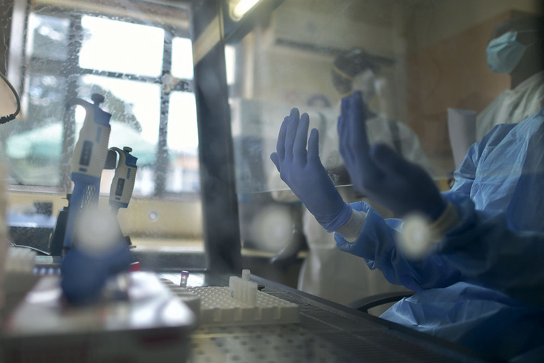 Coronavirus: "immunité", le mot qui fait rêver Coronavirus: "immunité", le mot qui fait rêver