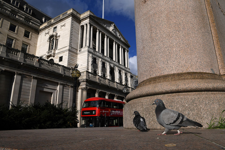 La course de pigeons, premier sport à reprendre en Angleterre La course de pigeons, premier sport à reprendre en Angleterre