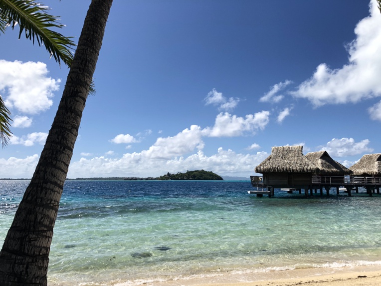 Ces jours dans les îles à prix cassés