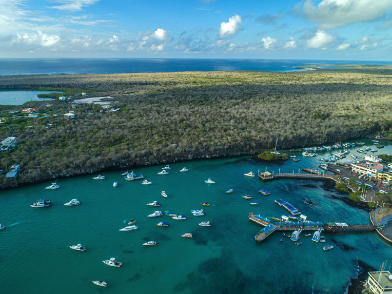 S'adapter pour survivre: science et tourisme sur les pas de Darwin aux Galapagos