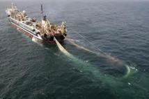 Un chalutier géant va pouvoir pêcher dans les eaux australiennes