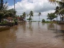 Les îles du Pacifique adaptent leur mode de vie aux changements climatiques