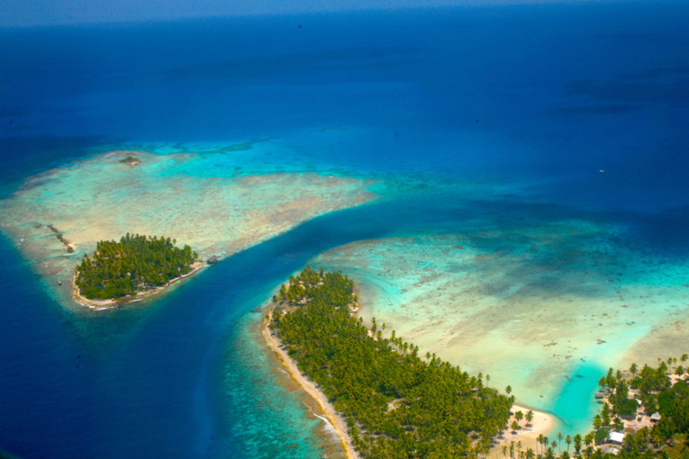 La passe d’Avatoru, à Rangiroa, temple de la plongée sous-marine.