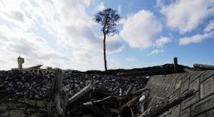 Le "pin miraculé" du tsunami va avoir une nouvelle vie à Rikuzentakata
