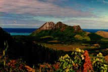 Tubuai : violée et tabassée, 15 jours d'ITT