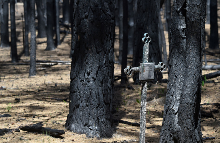 A Tchernobyl, des scientifiques mesurent le désastre après des incendies record A Tchernobyl, des scientifiques mesurent le désastre après des incendies record