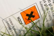 Crédit photo : mdrgf.org