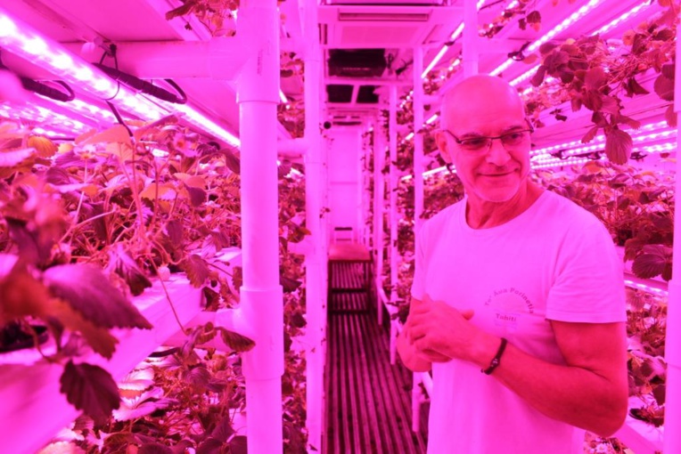 Les fraises hightech de la presqu’île Les fraises hightech de la presqu’île