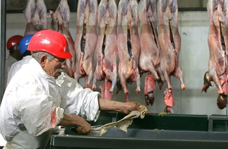 L'agrément d'un abattoir ovin de l'Aveyron suspendu après une vidéo de L214 L'agrément d'un abattoir ovin de l'Aveyron suspendu après une vidéo de L214