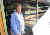 A Rurutu, la crise relance l'agriculture A Rurutu, la crise relance l'agriculture