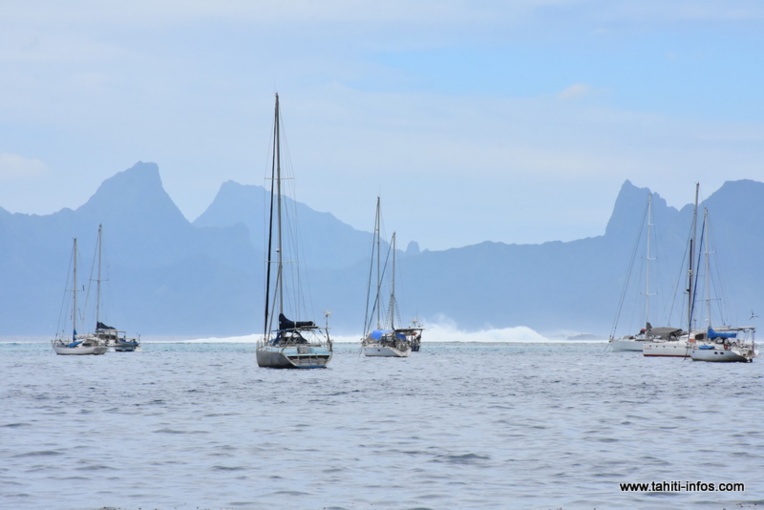 "Les secteurs de plaisance et du nautisme ne sont pas en danger" "Les secteurs de plaisance et du nautisme ne sont pas en danger"