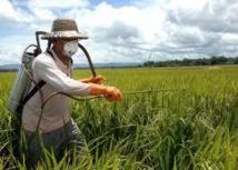 Vers une fiscalité incitative pour réduire l'usage des pesticides