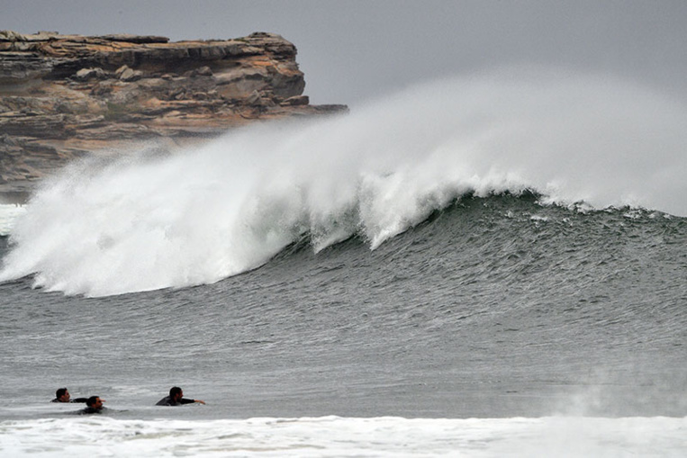 Un jeune surfeur tué par un requin en Australie Un jeune surfeur tué par un requin en Australie