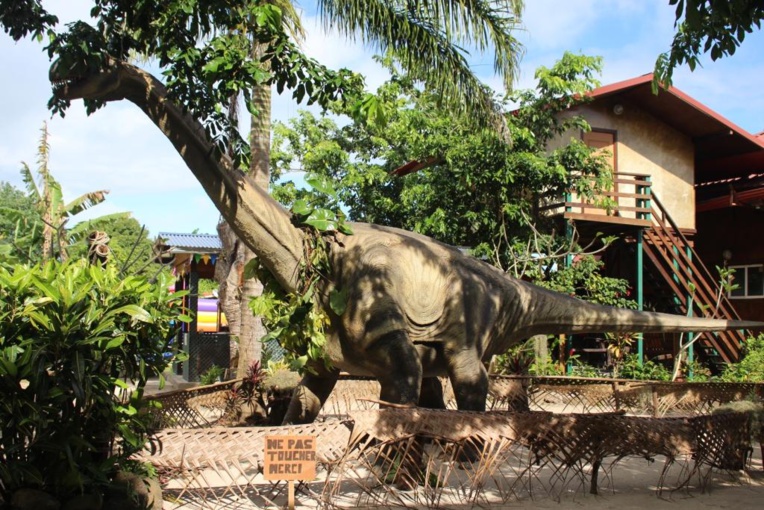 Drôles de rencontres à Moorea Drôles de rencontres à Moorea