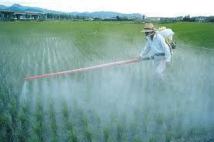 Pesticides: les sénateurs dénoncent les risques pour les utilisateurs