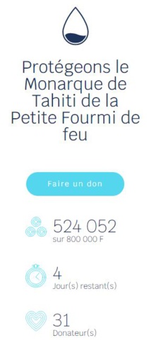 Une cagnotte pour éliminer la petite fourmi de feu des vallées à Monarques Une cagnotte pour éliminer la petite fourmi de feu des vallées à Monarques