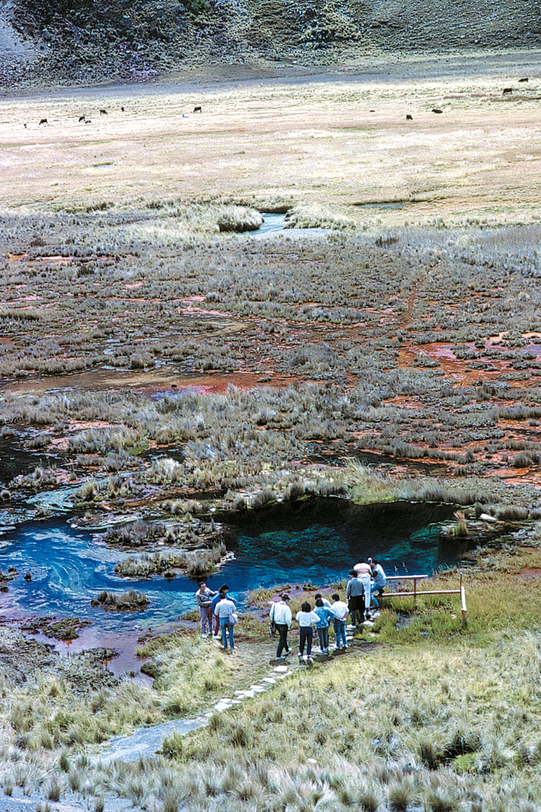 Dans la prairie faisant face aux fleurs, une source d’eau aussi gazeuse que de la Perrier. Dans la prairie faisant face aux fleurs, une source d’eau aussi gazeuse que de la Perrier.