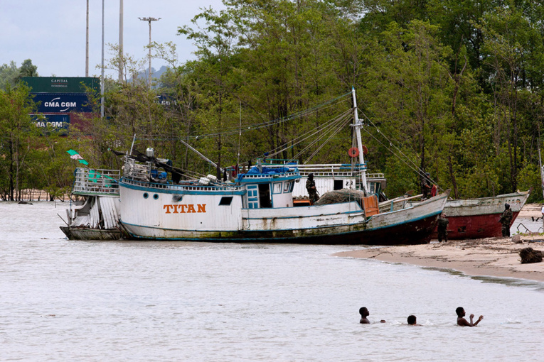 Brésil: des poissons contaminés au mercure près de la Guyane