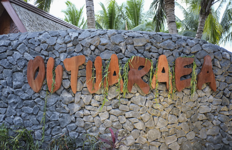 'Ōutu’araea de nouveau flamboyant 'Ōutu’araea de nouveau flamboyant