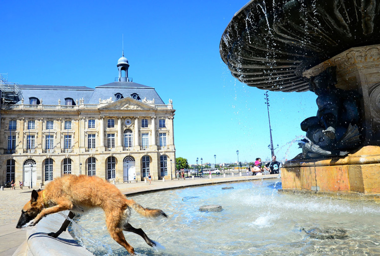 La moitié de la France en alerte canicule La moitié de la France en alerte canicule