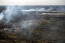 Argentine: le delta du Parana en proie à des incendies sans précédent