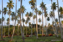 Budget 2013 de l’outremer : les crédits d’Etat en baisse pour la Polynésie