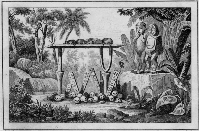 En Polynésie, la pratique des sacrifices humains était très répandue, mais très souvent les premiers explorateurs firent un amalgame et une confusion entre certains rites certes cruels et le cannibalisme.