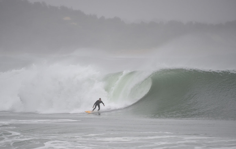 Pour sauver sa femme, un Australien frappe un requin à coups de poing