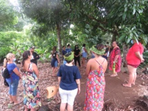 Immersion culturelle sur l'île sœur