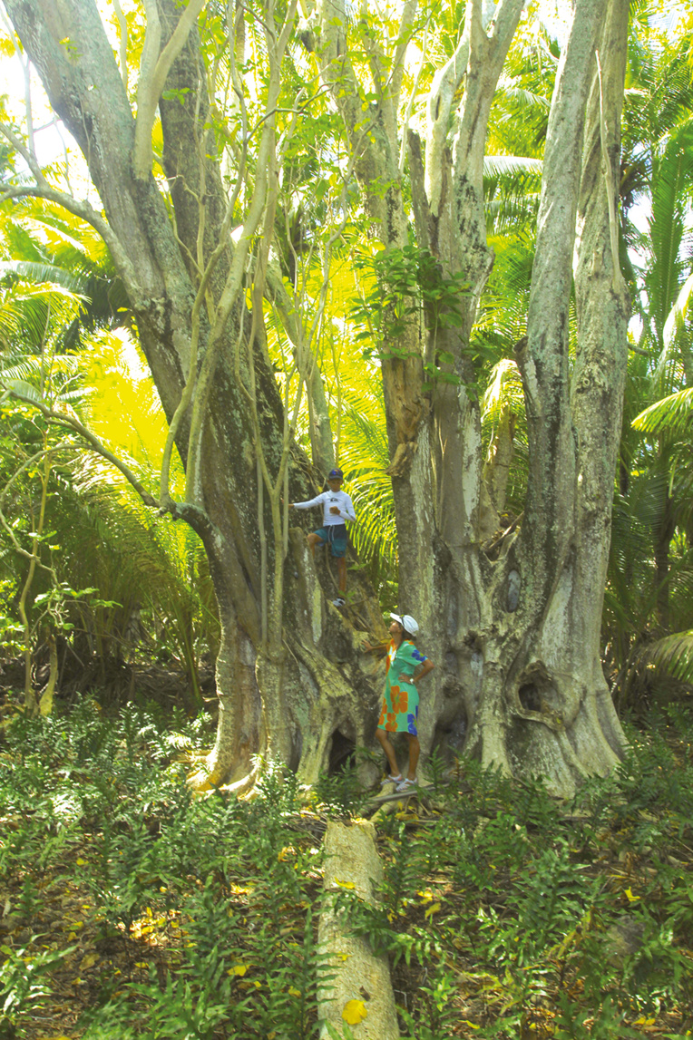 Kauehi, côté nature Kauehi, côté nature