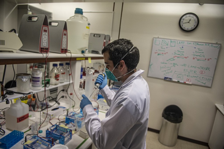 Covid-19: des chercheurs disent avoir découvert un premier cas de réinfection