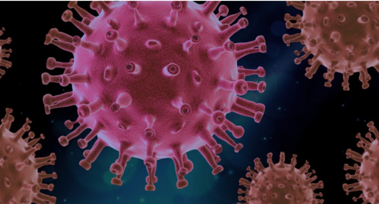 Comment fonctionne le système immunitaire ? Comment fonctionne le système immunitaire ?