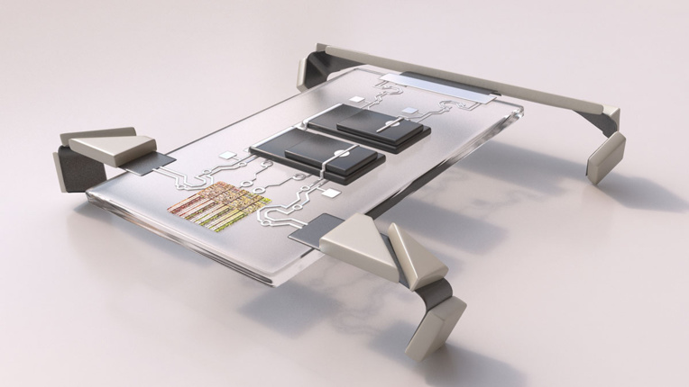 Des robots de la taille d'un cheveu peuvent marcher à quatre pattes