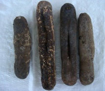 Pêche : 2011 confirme une reprise des exportations