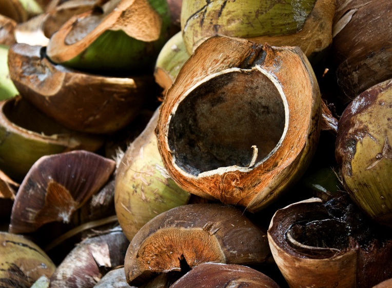 Cocorig : la fibre de coco pour sortir du lagon des kilomètres de plastique