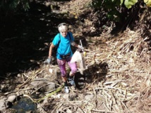 Des "Bourdons" écolos nettoient Moorea Des "Bourdons" écolos nettoient Moorea