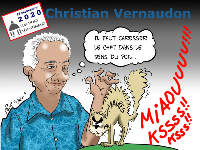 "Les sénatoriales", par Munoz