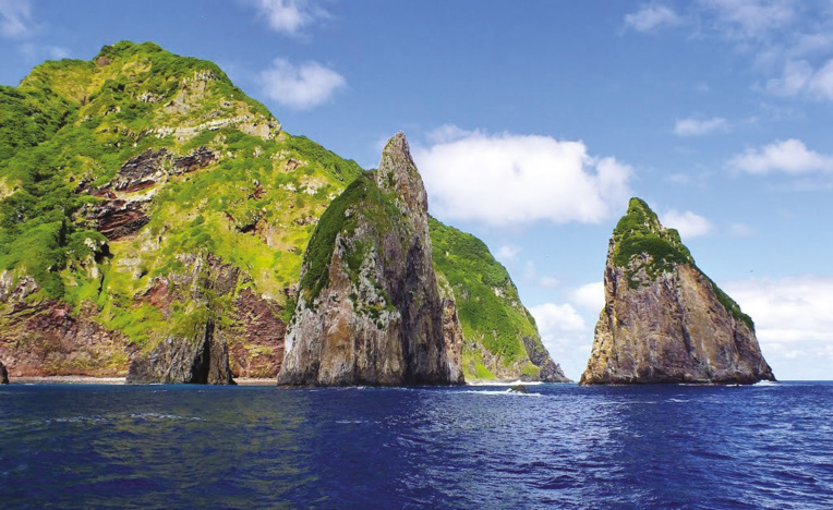 L’île d’Ata est cernée de toutes parts de falaises accores. Désertée après le rapt de McGraph, elle est aujourd’hui une réserve pour la faune et la flore (photo : Otago Daily Times). L’île d’Ata est cernée de toutes parts de falaises accores. Désertée après le rapt de McGraph, elle est aujourd’hui une réserve pour la faune et la flore (photo : Otago Daily Times).