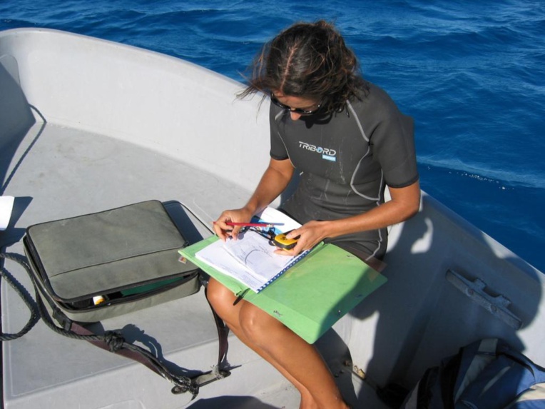 L’Ifrecor : appel à projets pour le corail L’Ifrecor : appel à projets pour le corail