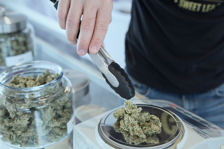 ​Le cannabis thérapeutique "illégal mais vital"