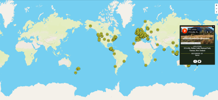 Découvre les sons des forêts du monde Découvre les sons des forêts du monde