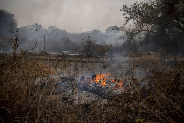 Brésil: l'Amazonie et le Pantanal en flammes, Bolsonaro sous pression