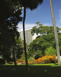 Une vue générale d’un coin fleuri du jardin, dominé par le béton du centre-ville. Un appartement en haut de cet immeuble ? Calme assuré ! Une vue générale d’un coin fleuri du jardin, dominé par le béton du centre-ville. Un appartement en haut de cet immeuble ? Calme assuré !